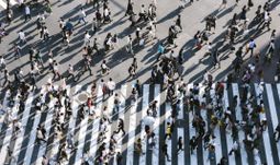 Morning Coffee: Ex-Goldman Sachs executives' dubious coronavirus advice. Joy of flying during the virus