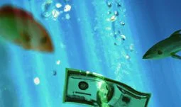 In a bad year for bankers here's who's still hiring on $300k+ salaries