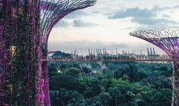 Singapore govt reveals next hot job sector in financial services
