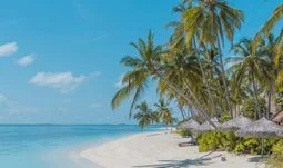 Hong Kong bankers are leaving to work in the Maldives