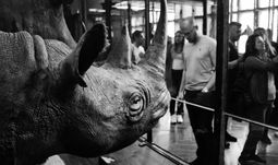 McKinsey & Co. suggests traders are still a dying breed