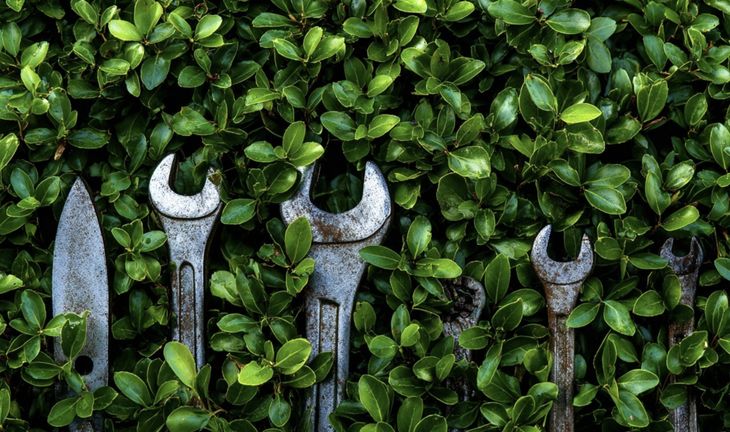 tools in a bush