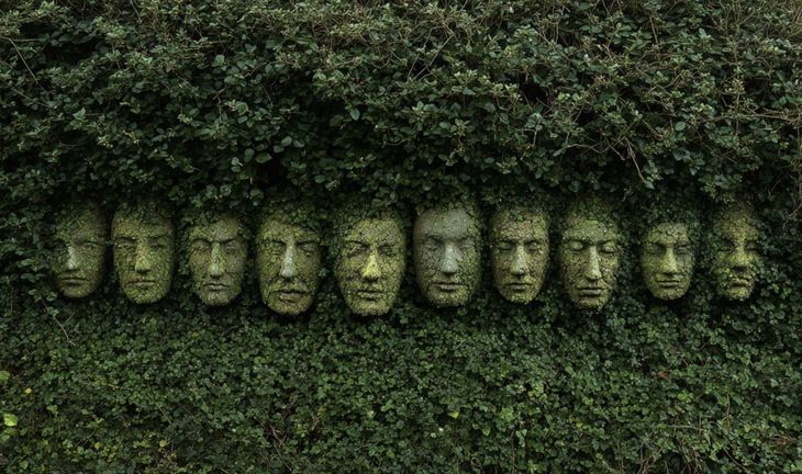 faces in a hedge 