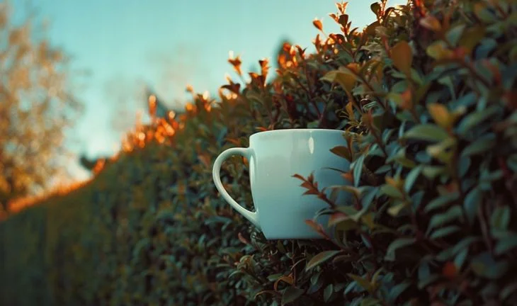Morning Coffee: The young hedge fund traders who made $150m in three months, or not. The new hottest market to make money as a banker