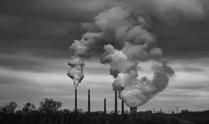 "Everyone who wants a job now says they're an expert in ESG"