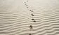 Hedge fund Verition's senior credit traders from Morgan Stanley & BofA have vanished